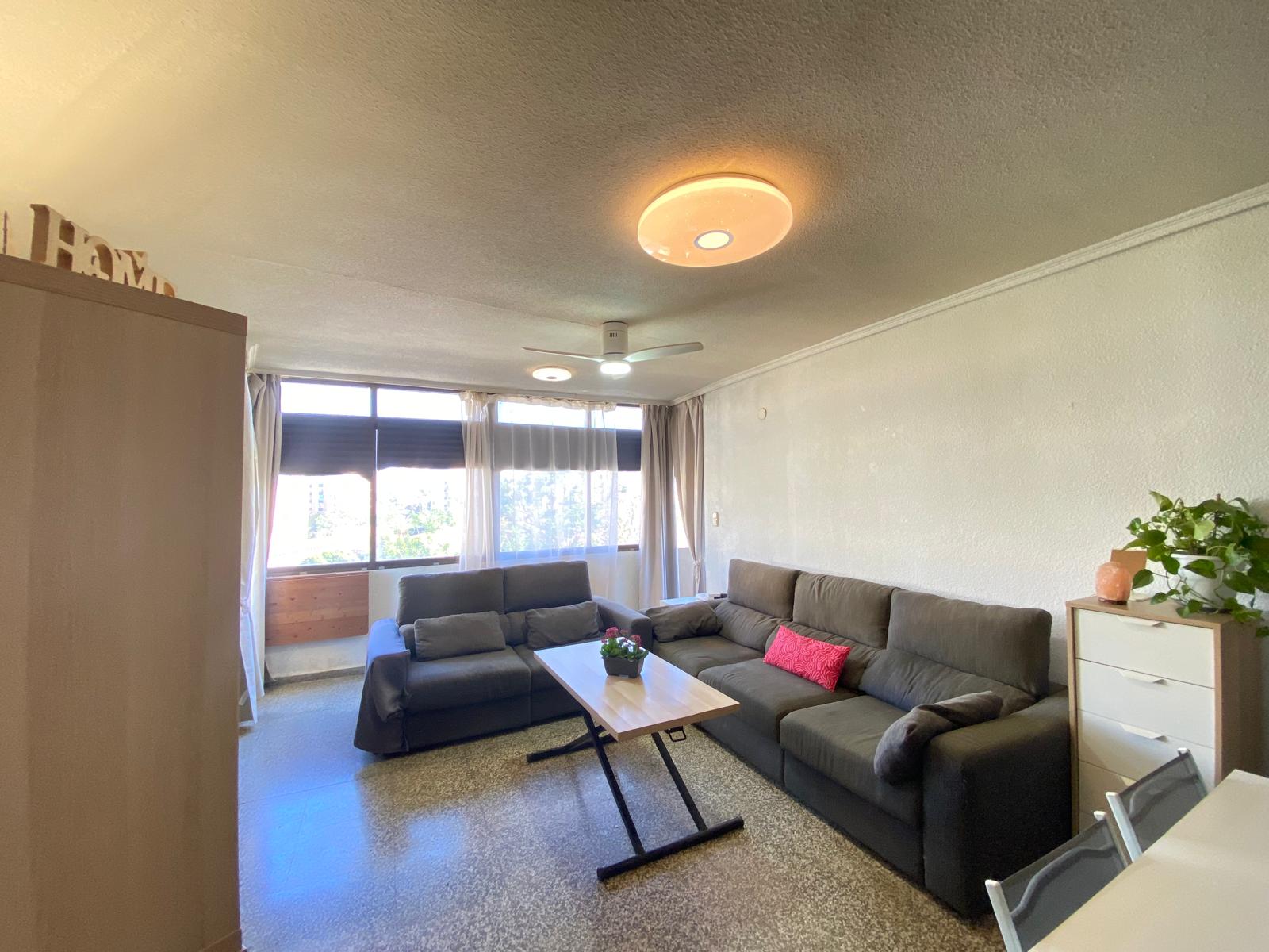 Property 2484 - Image 4